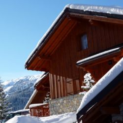 Chalet Serpolet Meribel