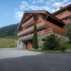 Apartment Grand in Meribel Centre