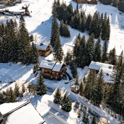 Ski in/Ski out Chalet Trois Ours Meribel Centre